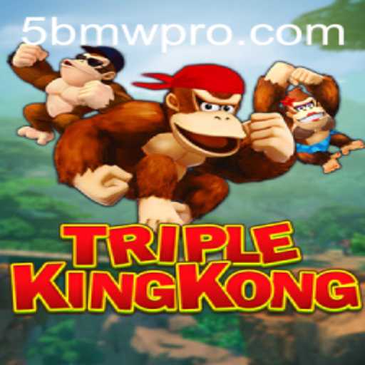 Embark on an Adventure with TripleKingKong and Unravel the Mystery of 5BMW